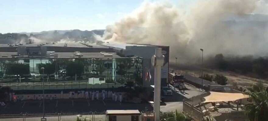 Un incendie dans lusine Chocolates Valor a Alicante oblige 200