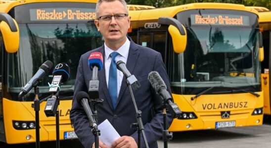 enfreint la loi sur lasile et affrete des bus pour