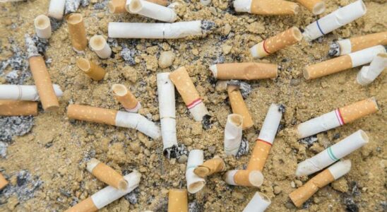 A approuve le decret qui oblige lindustrie du tabac a