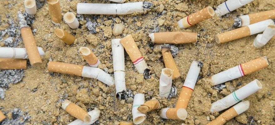 A approuve le decret qui oblige lindustrie du tabac a