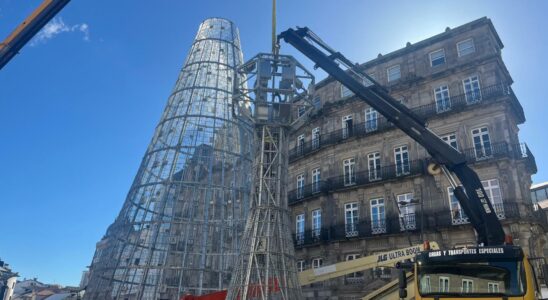 Abel Caballero annonce une foret de sapins de Noel vivants