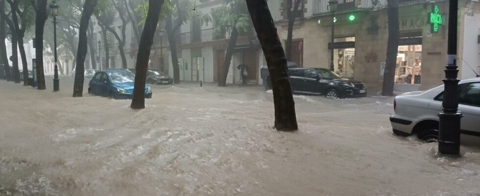 Alerte a Jerez car le deversement dun marecage peut faire