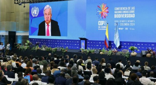 Antonio Guterres defend la biodiversite lors de linauguration du sommet