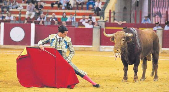 Bilan de la huitieme de la Feria del Pilar