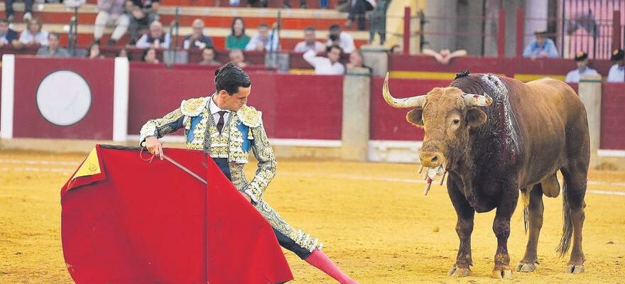 Bilan de la huitieme de la Feria del Pilar