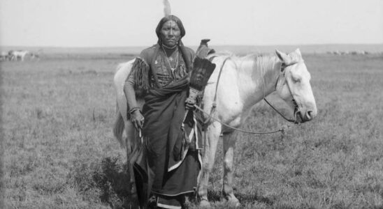 CHEVAUX INDIENS Les premiers chevaux des Indiens dAmerique du