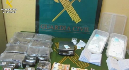 CULTURE DE CANNABIS EN INTERIEUR Un couple est arrete