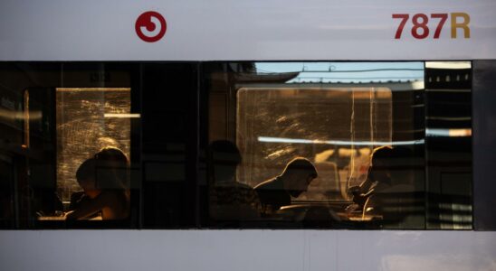 Ce sont les prix pratiques par Renfe