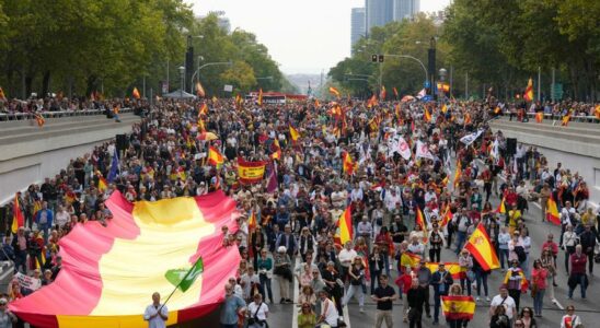 DEMONSTRATION PP VOX Des milliers de personnes descendent dans