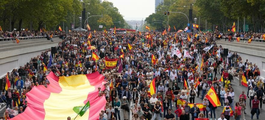 DEMONSTRATION PP VOX Des milliers de personnes descendent dans