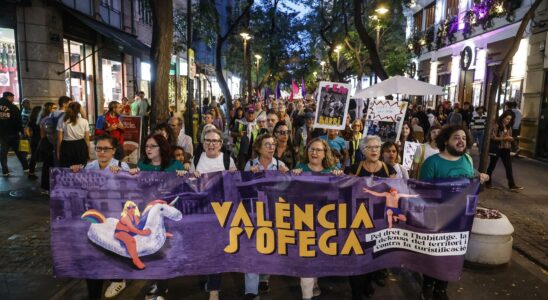 Des milliers de personnes manifestent dans les rues de Valence