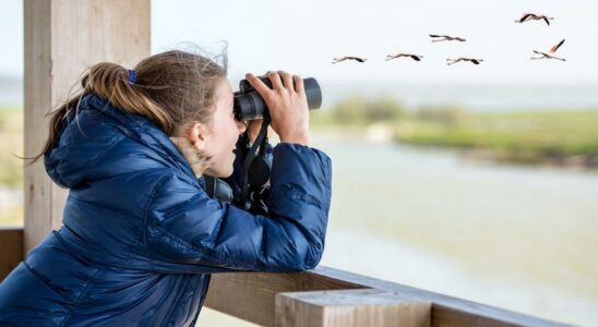 ESPECES EN DANGER Plus de 200 activites dans toute