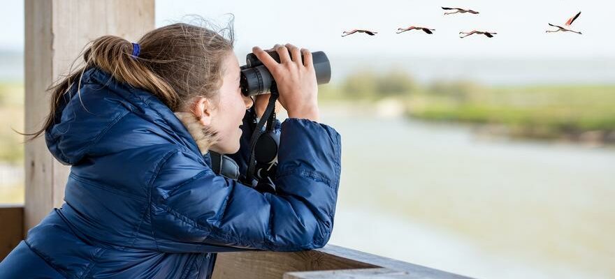 ESPECES EN DANGER Plus de 200 activites dans toute