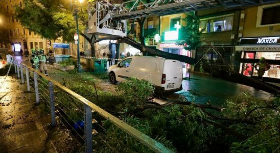 Effroi au centre de Saragosse apres la chute dun grand