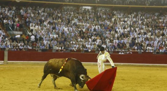 En images Troisieme corrida de la Foire du Pilar