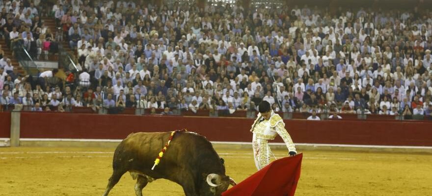 En images Troisieme corrida de la Foire du Pilar