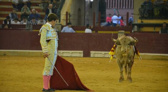 Foire taurine du Pilar Bilan de la cinquieme de