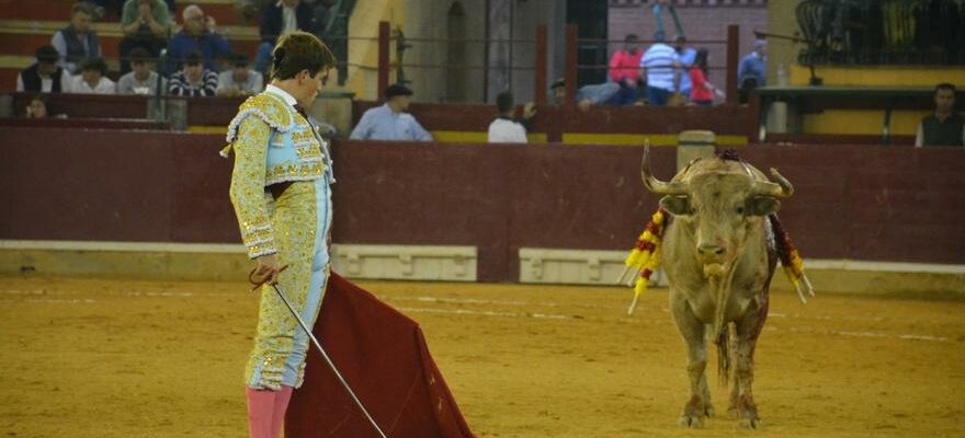 Foire taurine du Pilar Bilan de la cinquieme de