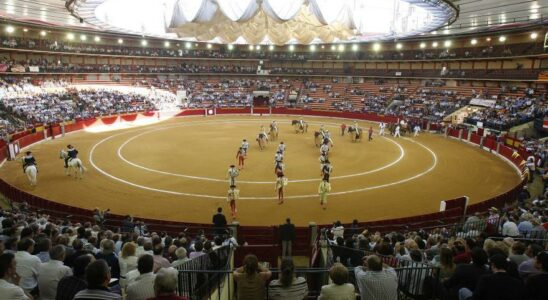 Foire taurine du Pilar Borja Jimenez sera remplace vendredi