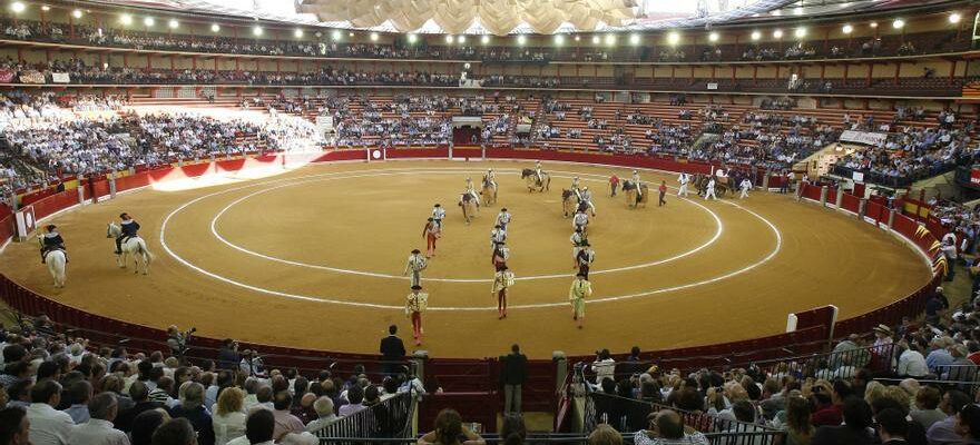 Foire taurine du Pilar Borja Jimenez sera remplace vendredi