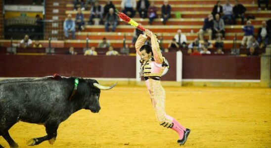 Foire taurine du Pilar Critique de la quatrieme de