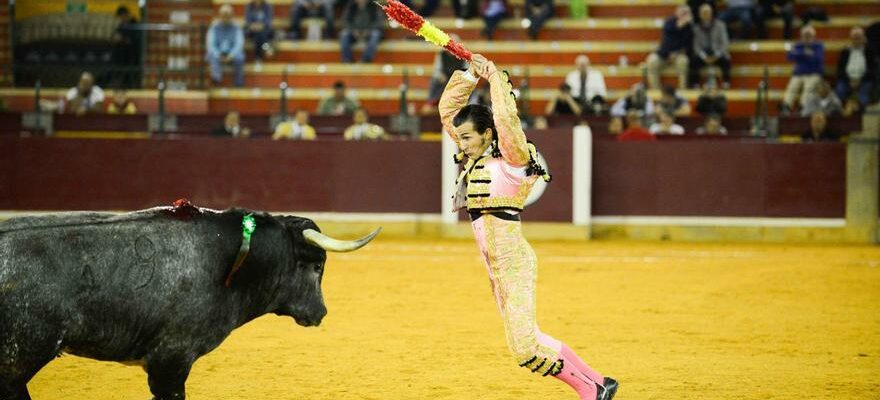 Foire taurine du Pilar Critique de la quatrieme de