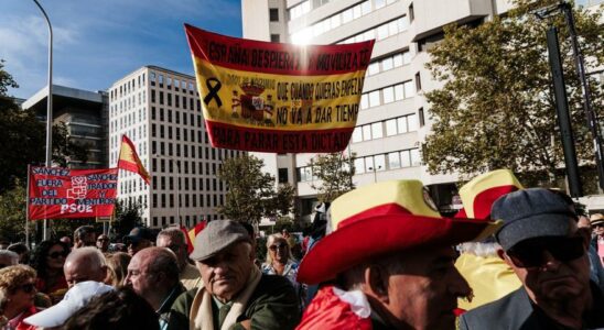 IMAGES Une manifestation contre le gouvernement a Madrid appelle