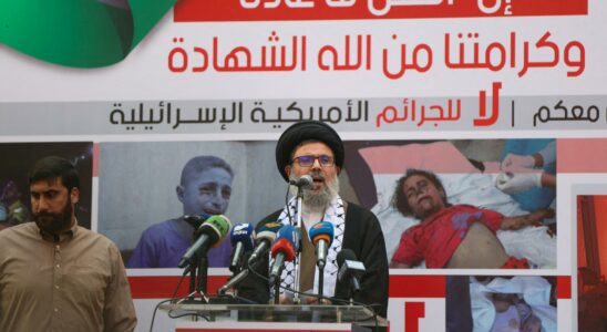 Israel confirme avoir tue le successeur previsible de Nasrallah lors