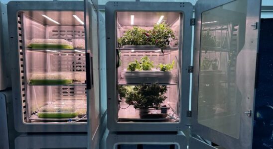 L electroagriculture revolutionnaire la campagne nest plus necessaire