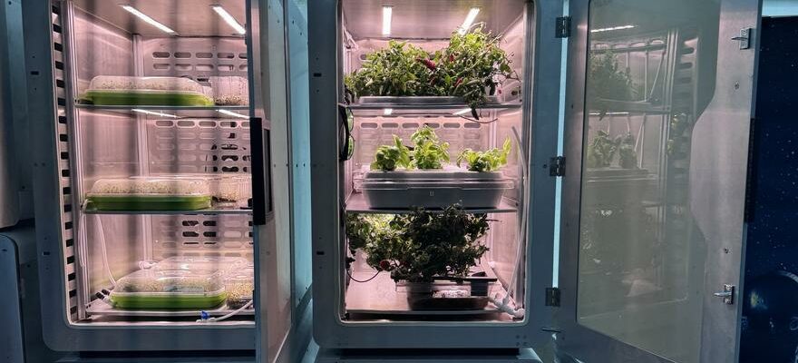 L electroagriculture revolutionnaire la campagne nest plus necessaire