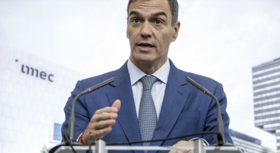 La demarche personnelle de Pedro Sanchez contre le juge qui