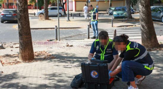 La police saisit des munitions et des armes a feu