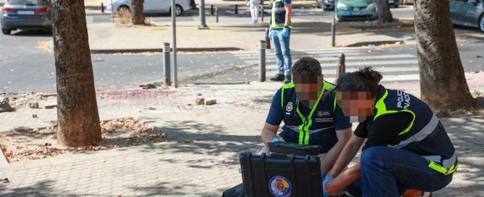 La police saisit des munitions et des armes a feu