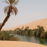 La poussiere du Sahara alimente la vie oceanique a des