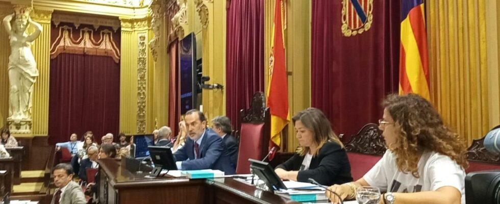 Le president du Parlement des Baleares de Vox expulse deux