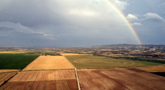 Les cooperatives agroalimentaires aragonaises ou comment augmenter la valeur grace