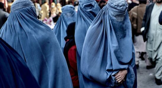 Les femmes afghanes ont le droit dasile en raison de