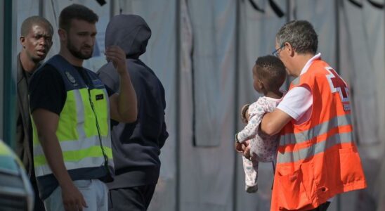 MIGRANTS DES ILES CANARIES Le TC etudiera la semaine