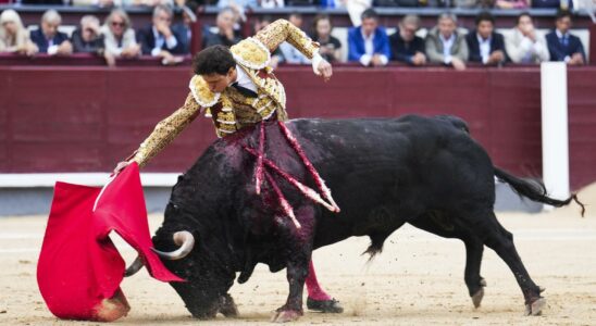 Roca Rey le torero de la Coquille dOr qui a