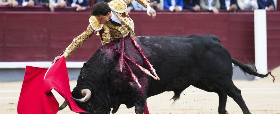 Roca Rey le torero de la Coquille dOr qui a