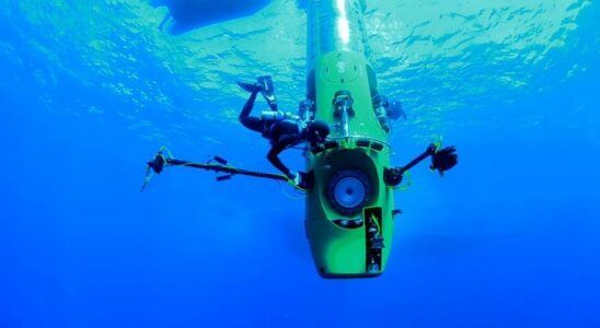 TRANCHEE DES MARIANNES Sept choses incroyables sur les abysses