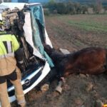 Un conducteur est blesse apres avoir heurte son vehicule contre