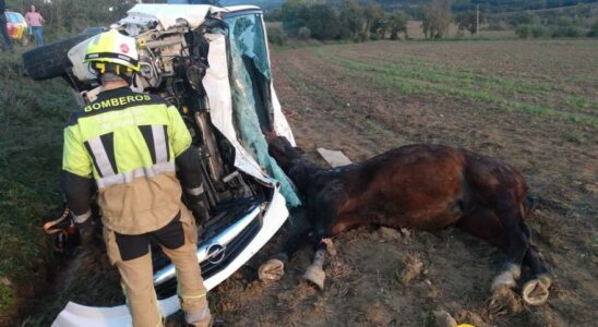 Un conducteur est blesse apres avoir heurte son vehicule contre