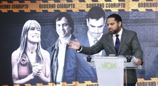 Vox pret a soutenir une motion de censure contre Pedro