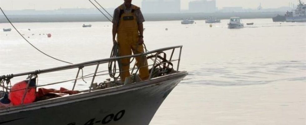 le secteur de la peche dans un etat critique apres