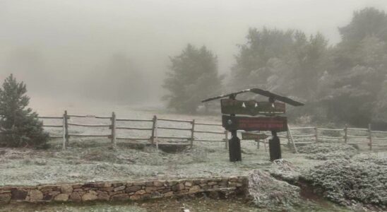 les images des premiers flocons dans les zones les plus