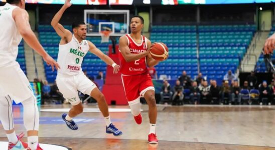 20 points de Bell Haynes dans la victoire du Canada