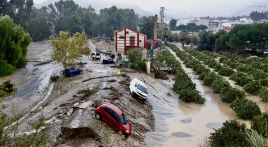 3 000 personnes sont expulsees preventivement sur les rives du