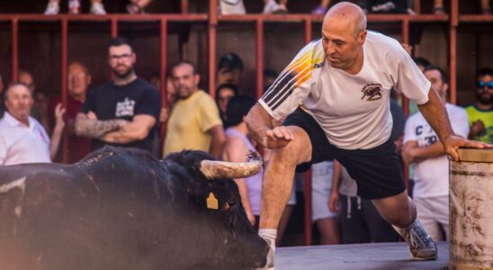 Il etait tres passionne de tauromachie