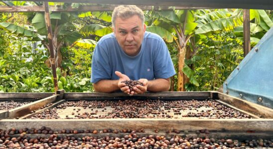 Il le cultive manuellement aux iles Canaries et vend ses